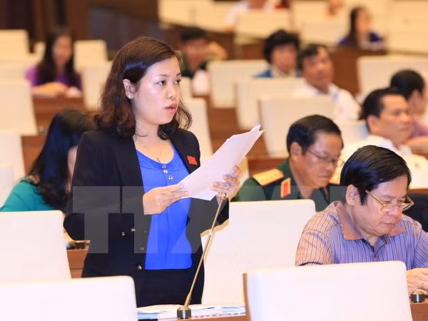 越南第十三届国会第十次会议发表第十三号公报 ảnh 1