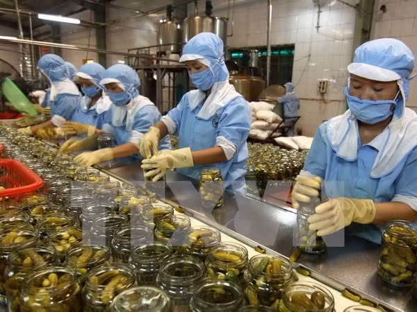 目前是越南企业扩大在古巴投资经营范围的最好时期 ảnh 1