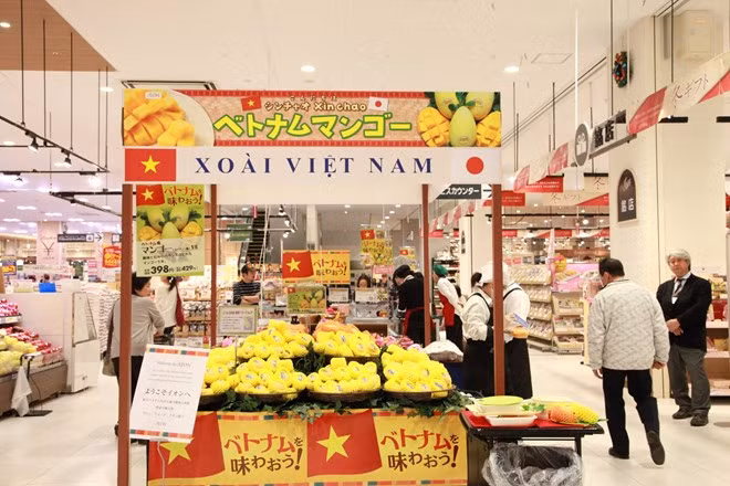 越南芒果正式在日本超市上架出售 ảnh 1