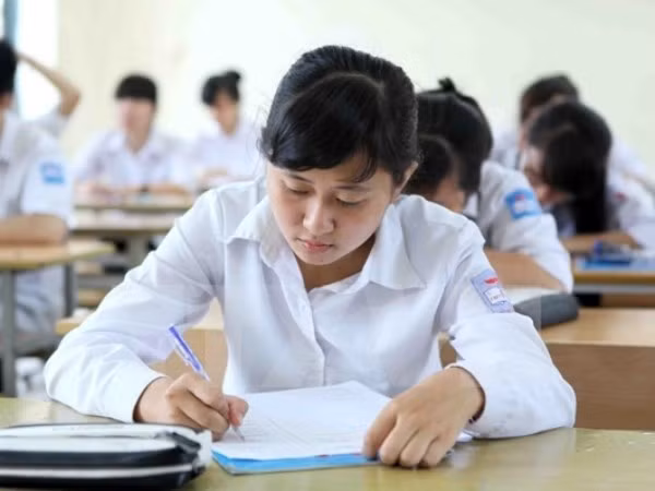 越南在国际学生评估项目排行榜上居高位 ảnh 1 越南在国际学生评估项目排行榜上居高位 ảnh 1