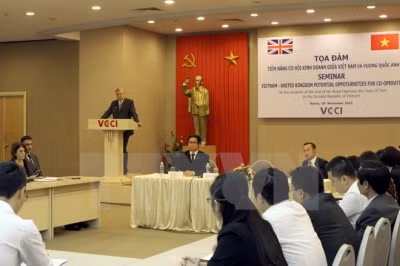 扩大越南对英国出口仍有较大余地 ảnh 1