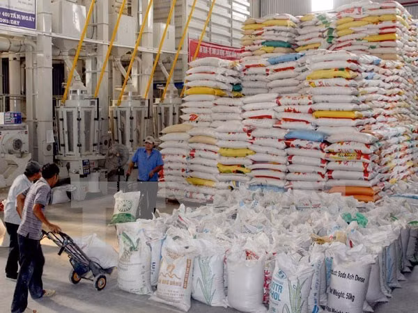  出口优质大米是越南稻米行业的新发展方向 ảnh 1