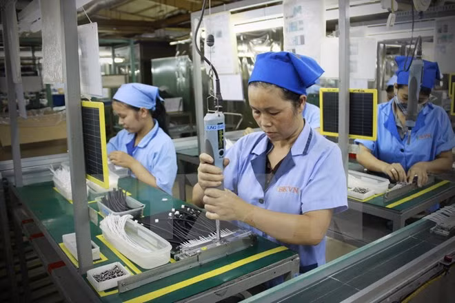 越日信息技术领域合作迎来新机遇 ảnh 1