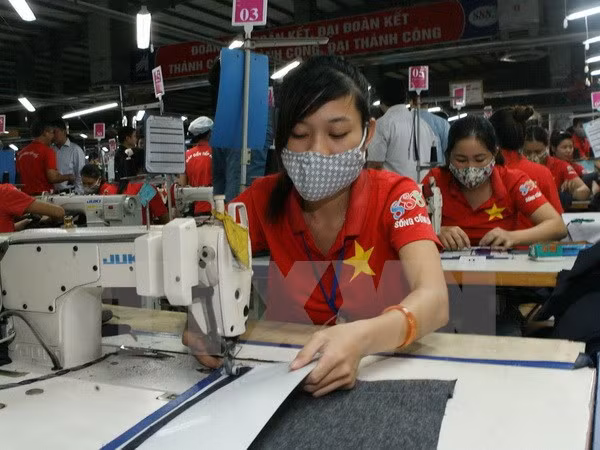 越南纺织品服装业努力应对加入《跨太平洋伙伴关系协定》后的挑战 ảnh 1
