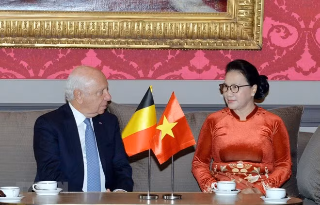 越南国会主席会见比利时联邦参议长布罗奇 ảnh 1 越南国会主席会见比利时联邦参议长布罗奇 ảnh 1