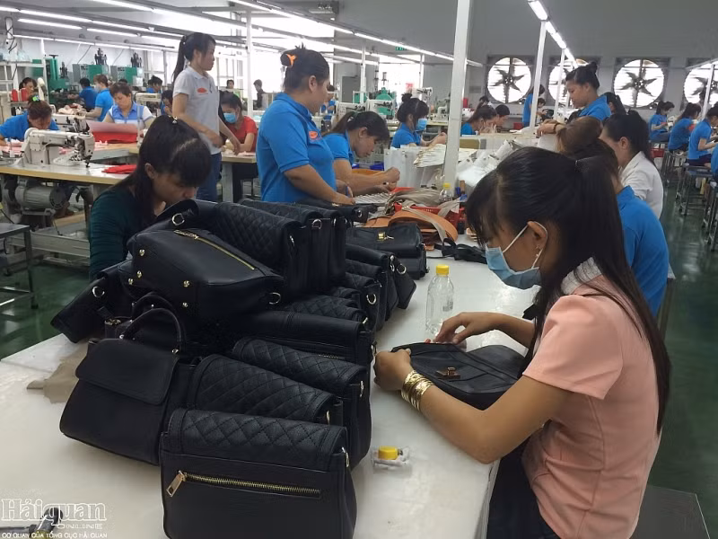 CPTPP：越南进军加拿大市场机会巨大 ảnh 2