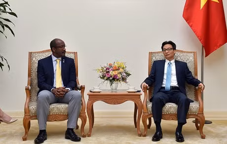 越南政府副总理武德儋会见塞舌尔副总统文森特·梅里顿 ảnh 1