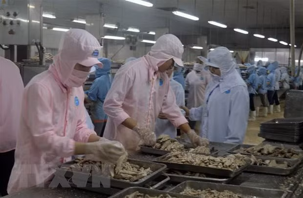 越美努力促进贸易平衡 实现互利共赢 ảnh 1