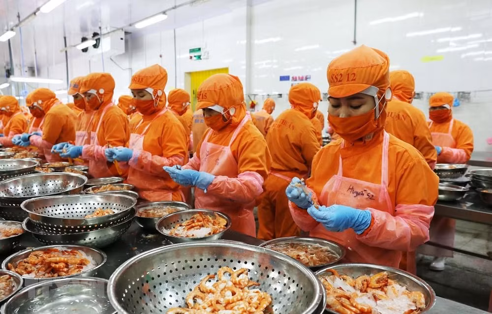 CIEM：2021年越南经济增长增长较为乐观 ảnh 1