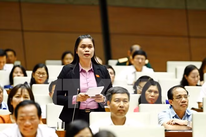 越南第十四届国会第三次会议发表第十九号公报 ảnh 1