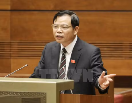 第十四届国会第三次会议开始质询和答复质询活动 ảnh 1 第十四届国会第三次会议开始质询和答复质询活动 ảnh 1