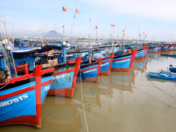 乂安省加快沿海经济发展 ảnh 1