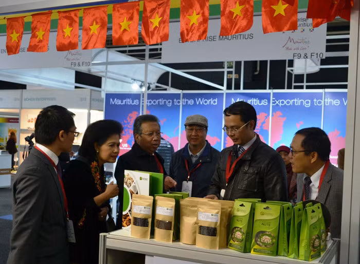 越南与南非加大贸易促进力度 ảnh 1