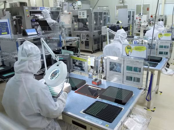 同奈省大力引进国内投资资金 ảnh 1