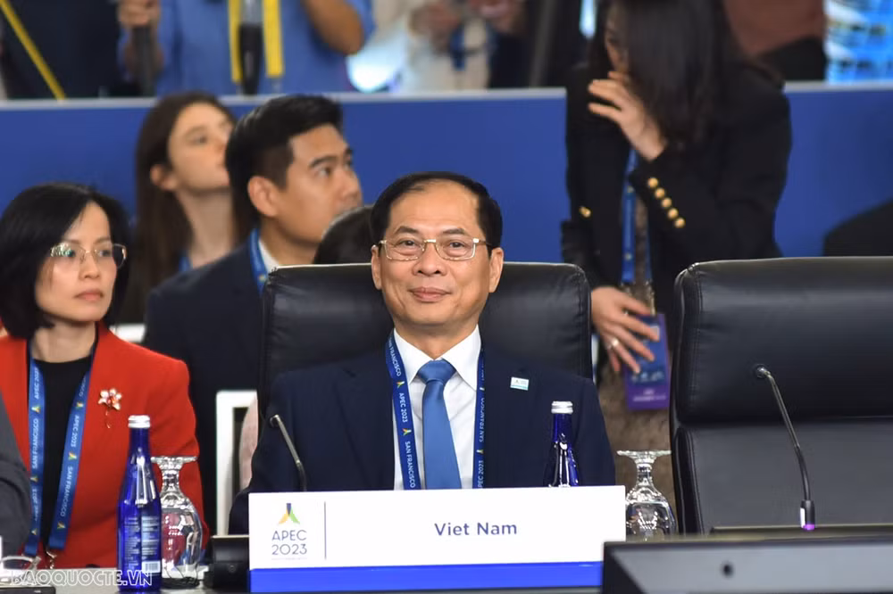 亚太经合组织第34届外交与经贸部长会议：越南提出三项优先合作事项 ảnh 2