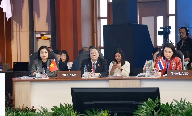 亚太议会论坛第31届年会：越南就加强议会在促进地区和平与稳定中的作用提出四点建议 ảnh 1