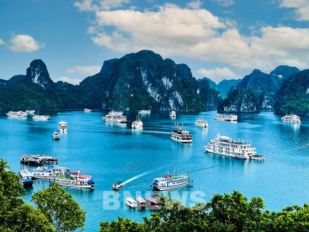 韩国忠清地区正考虑开通直飞越南下龙湾的航班 ảnh 1