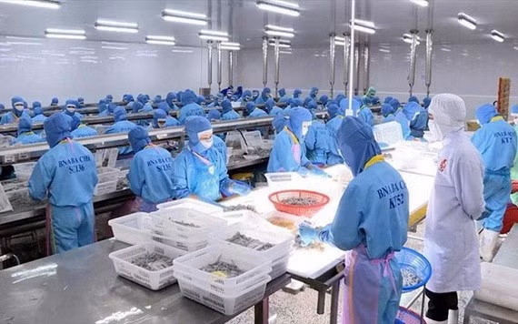 EVFTA生效一年后 越南欧盟双向贸易迅猛增长 ảnh 1
