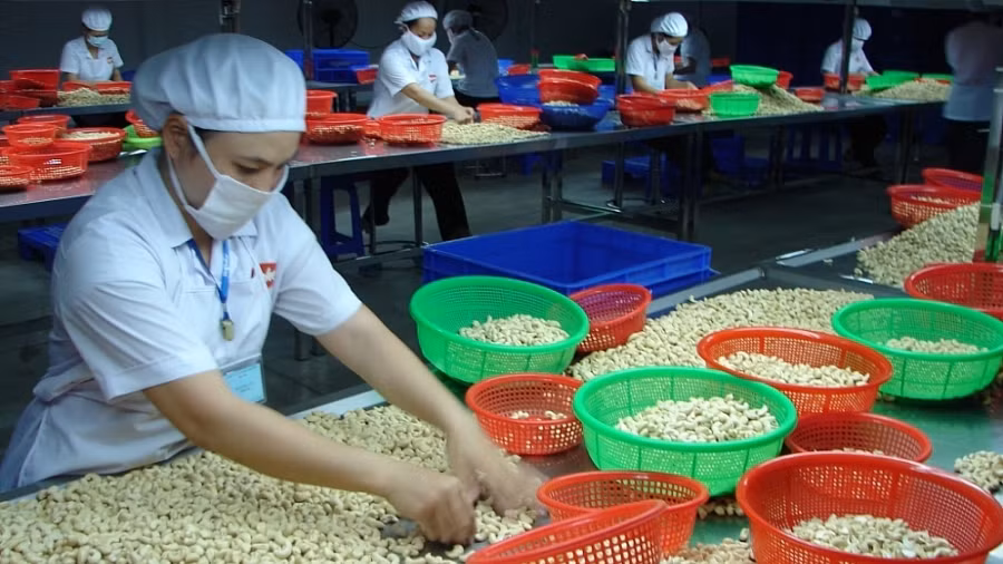 对英国出口农产品：尽快抓住UKVFTA带来的机遇，扩大市场份额 ảnh 1