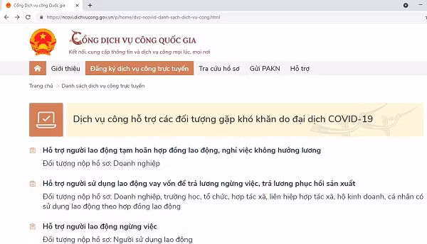 国家公共服务门户网站设立支持劳动者和企业的8项服务 ảnh 1