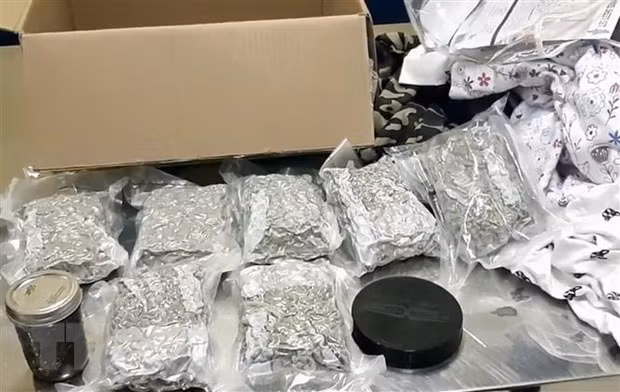 奠边省：逮捕非法运输20公斤毒品进入越南境内的三名老挝籍嫌犯 ảnh 1