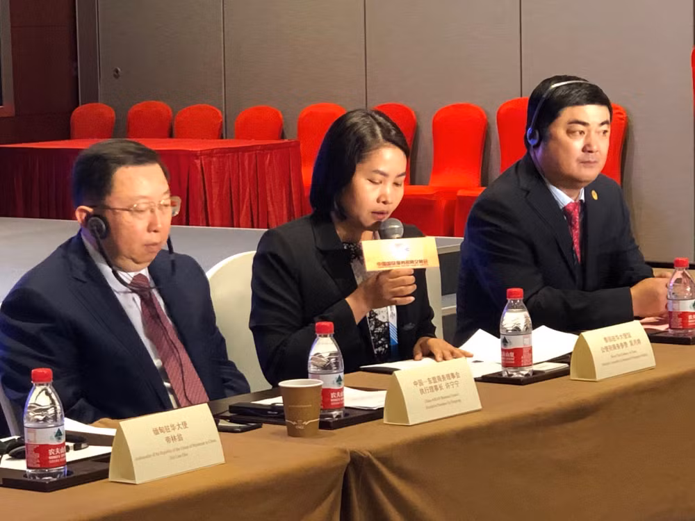  东盟与中国共同加强产业合作 ảnh 3