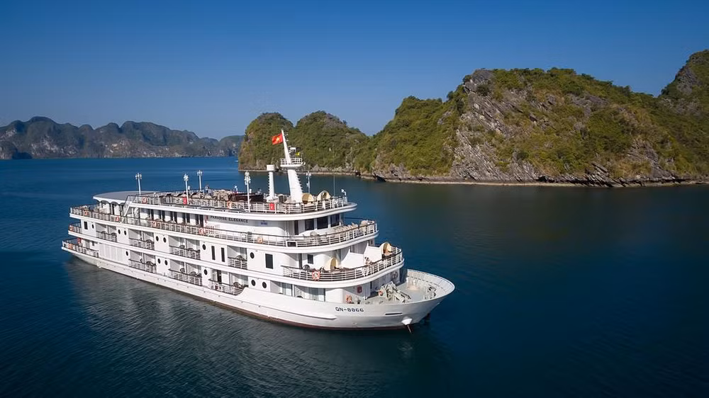 零排放旅行 — 越南旅游发展趋势 ảnh 3