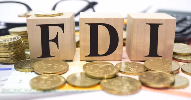 2019年前6月越南吸引外国直接投资资金184.7亿美元 ảnh 1