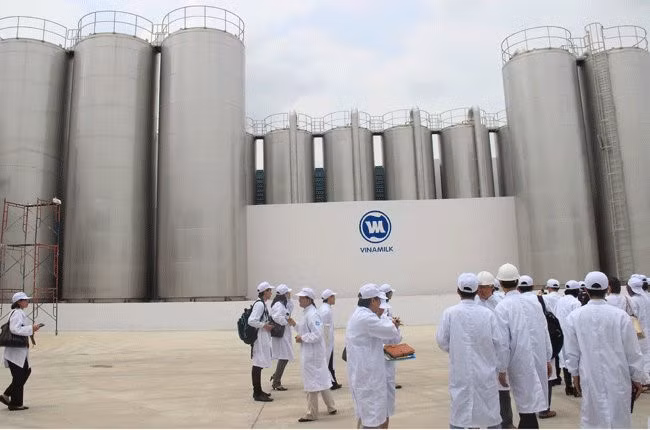 走在越南乳制品产业建设道路上的越南乳制品股份公司 ảnh 2
