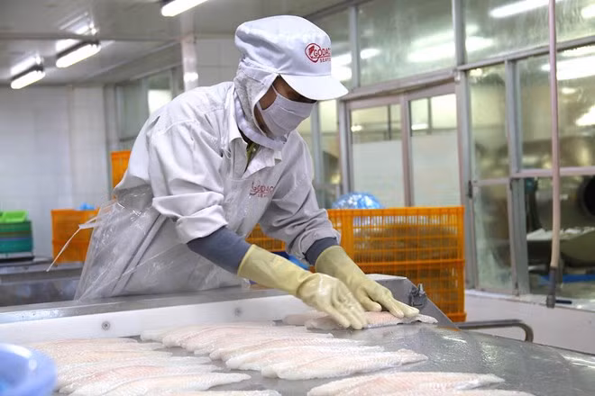 富安省努力实现水产品来源可追溯 ảnh 1