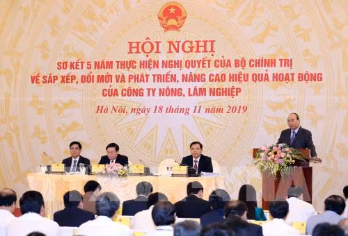 政府总理阮春福：2020年内完善农林业公司重组工作 ảnh 1