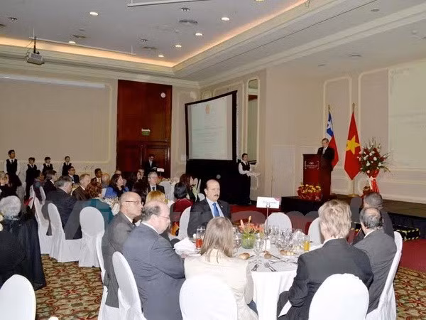 越南驻各国大使馆纷纷举行仪式庆祝九•二国庆70周年 ảnh 4