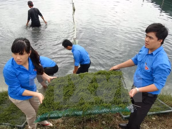 越南岘港市与老挝沙拉湾省进一步加强青年工作交流与合作 ảnh 1