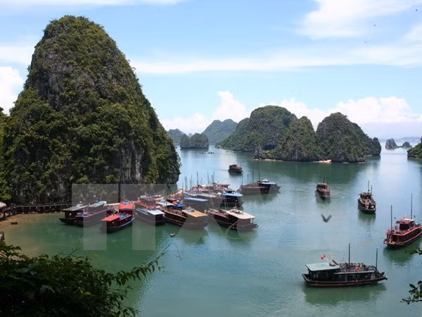 2015年前7个月广宁省旅游业呈现增长势头 ảnh 1