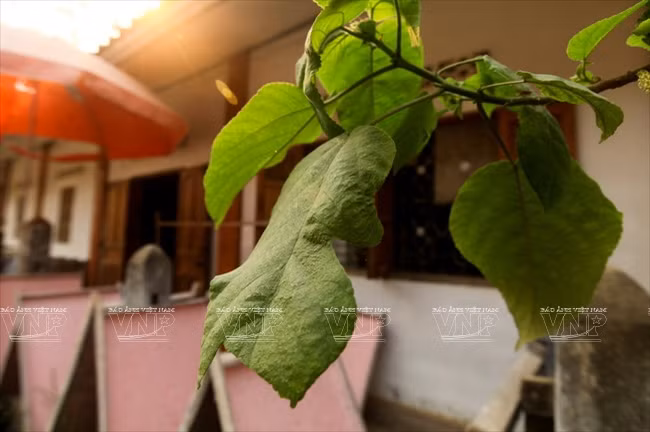 老挝琅勃拉邦的纱纸 ảnh 9