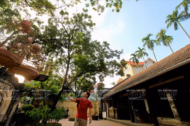 河内城里的古村 ảnh 3