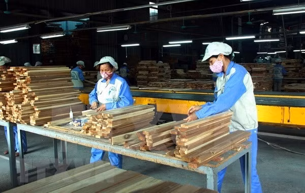 越南林产品出口发展空间仍然很大 ảnh 1