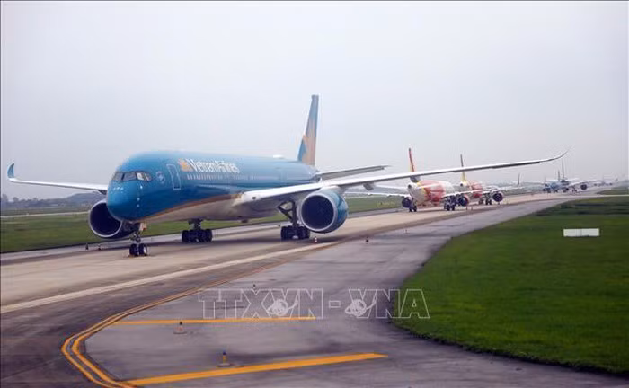 各家航空公司恢复运营至岘港往返定期航班 ảnh 1