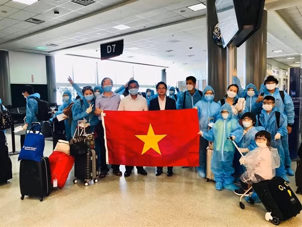 新冠肺炎疫情：将在美国的近350名越南公民接回国 ảnh 1