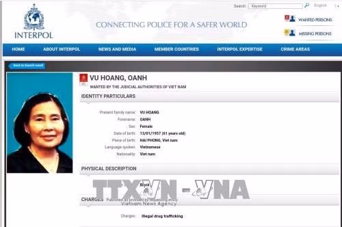 越南公安部对毒品犯罪集团女头目发布国际通缉令 ảnh 1