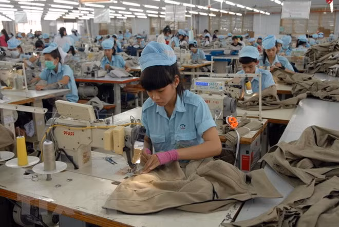 前江省出口金额达12.7亿美元 ảnh 1