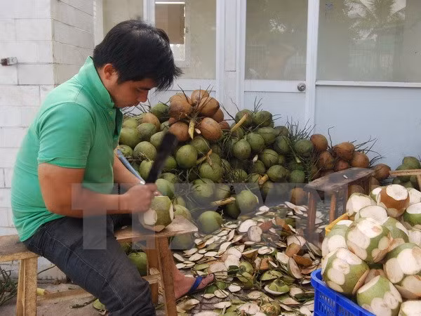 上半年槟椥省出口额同比增长15.31% ảnh 1