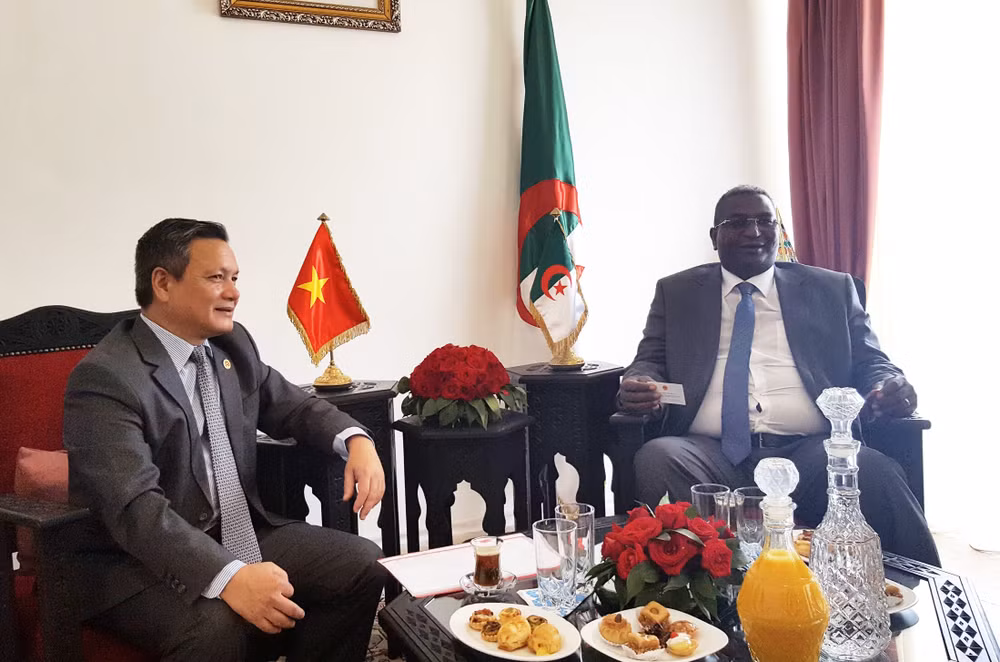 越南与阿尔及利亚加强旅游合作 ảnh 1