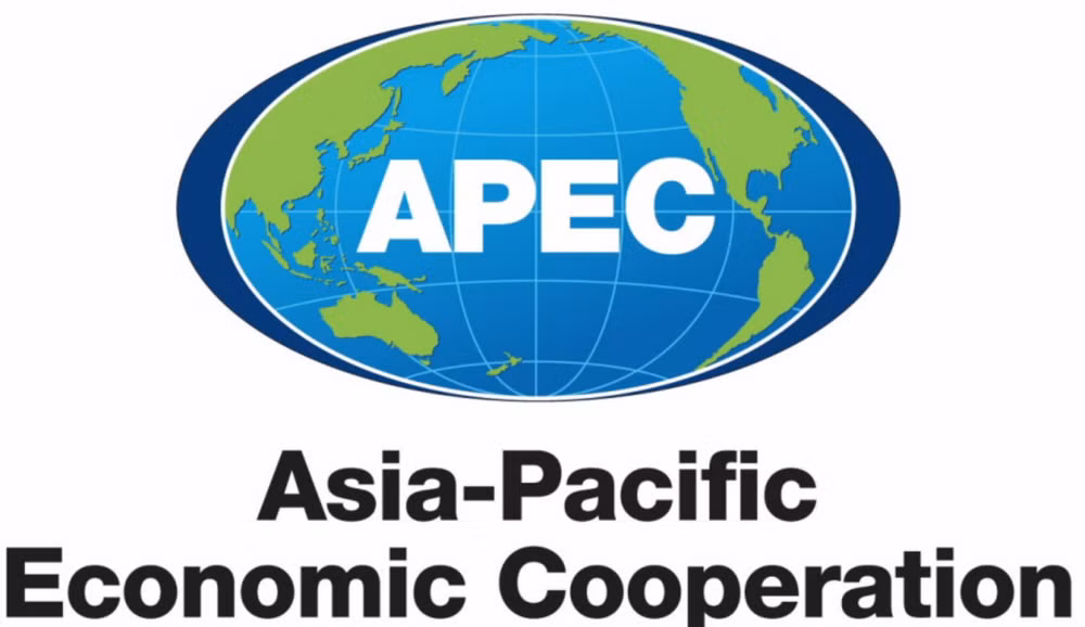 APEC会议为地区经济提供巨大机遇 ảnh 1