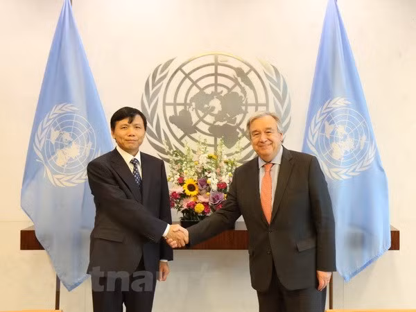 联合国秘书长高度评价与越南的合作关系 ảnh 1