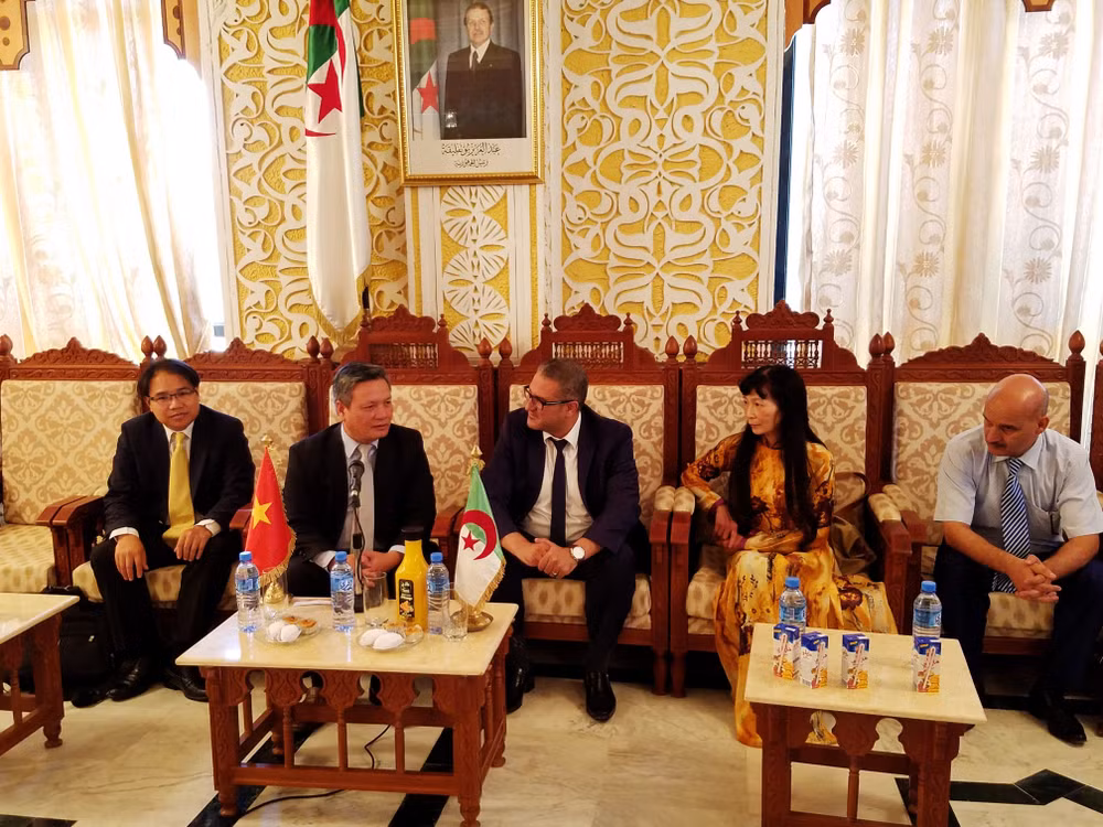 越南与阿尔及利亚麦迪亚省促进贸易与投资合作 ảnh 1