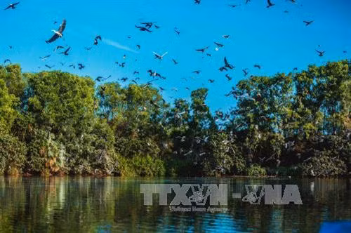 越南薄辽省拨出资金来升级改造各旅游景区 ảnh 1