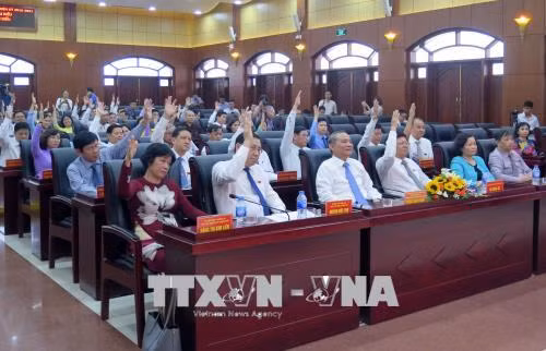 岘港市人民议会第七次会议：阮儒忠当选岘港市人民议会主席 ảnh 1