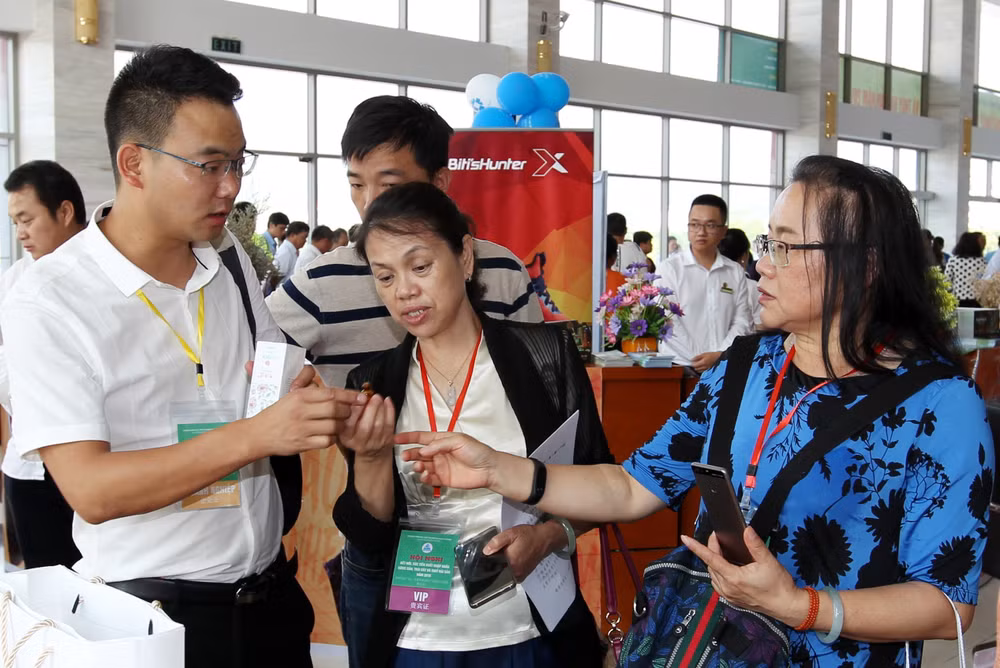 越南老街省与中国云南省举行会议助力农产品进出口 ảnh 2