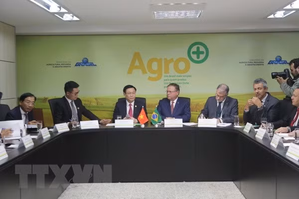 越南政府副总理王廷惠对巴西进行正式访问 ảnh 4